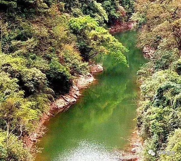 组装机械章鱼龙
